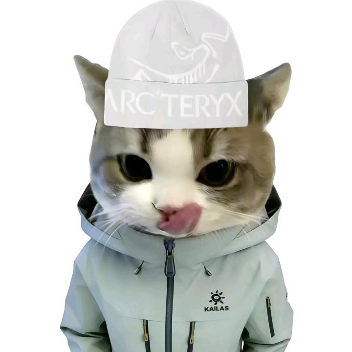 偷吃队友路餐被打