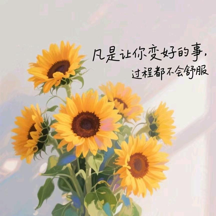 兰兰小橱窗