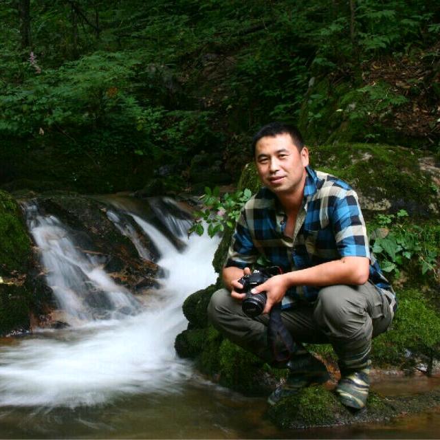 许泽成免费讲食用菌技术