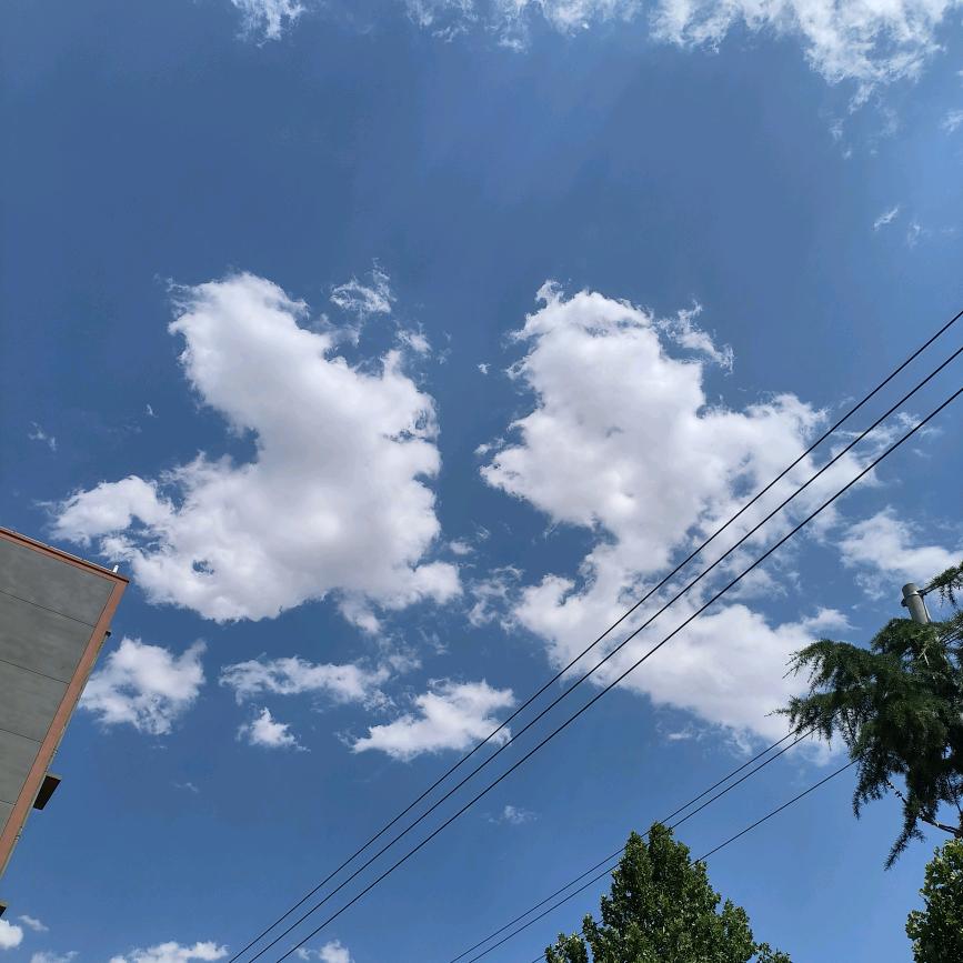 漓江路二手市场星妹啊