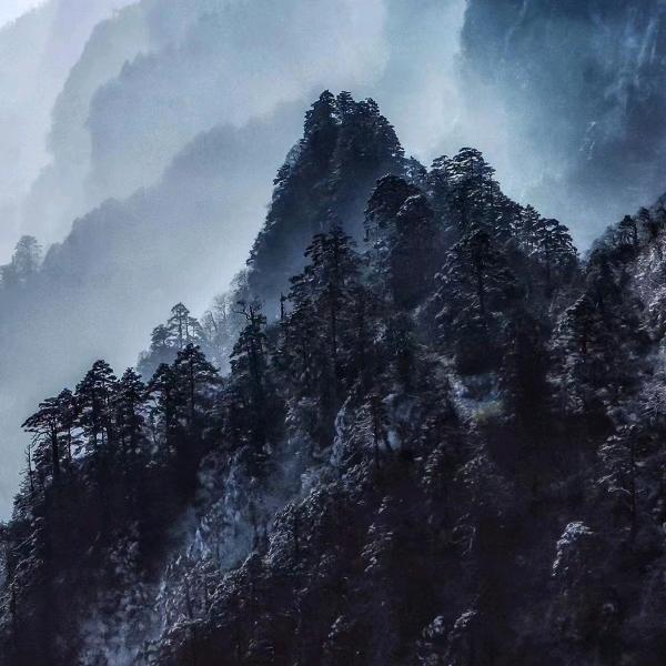 抖那个豆