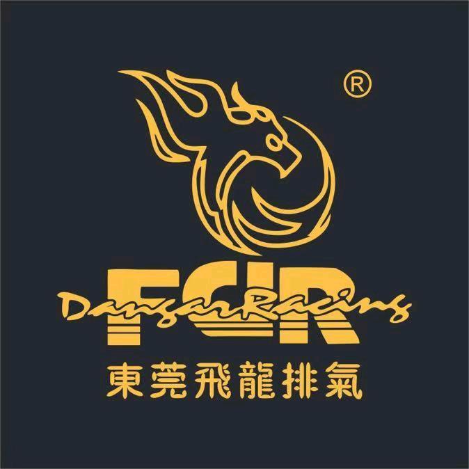 FDR 东莞飞龙排气