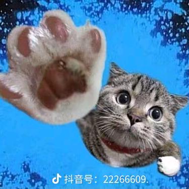 %