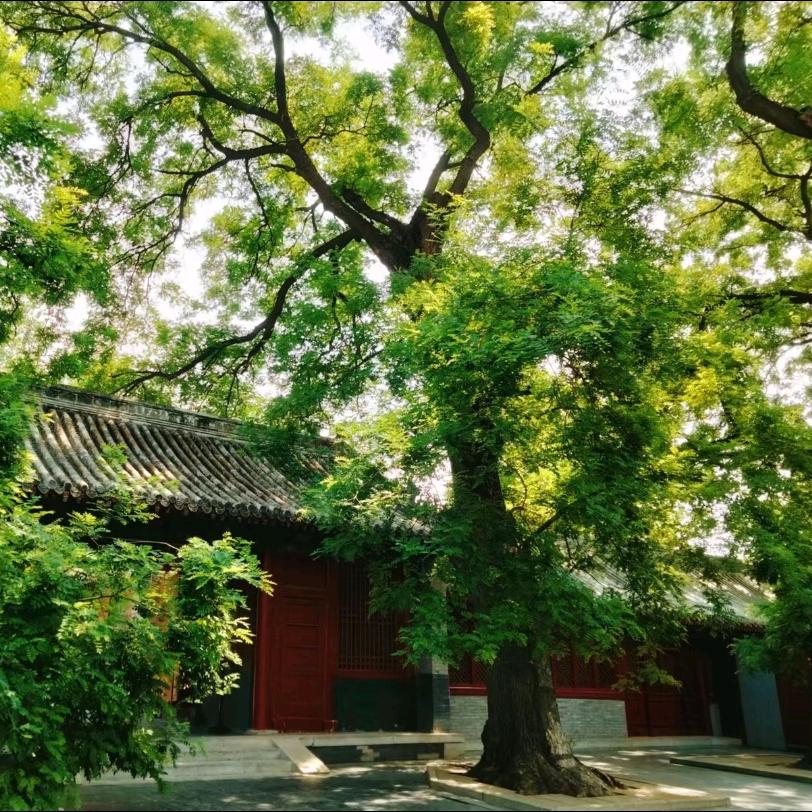 心水