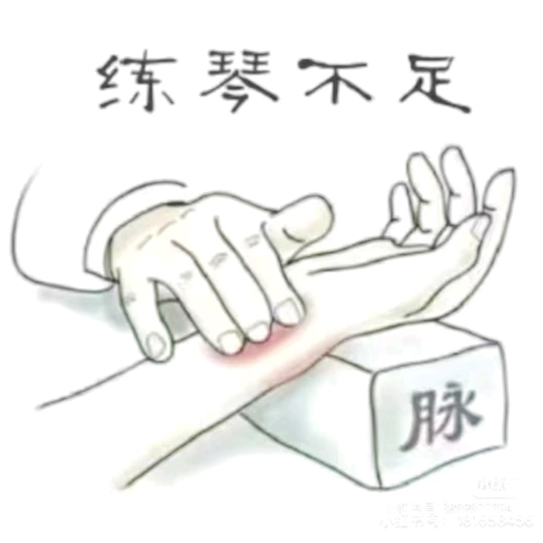 𝑻𝒓𝒂𝒗𝒆𝒍𝒆𝒓🎸🏍