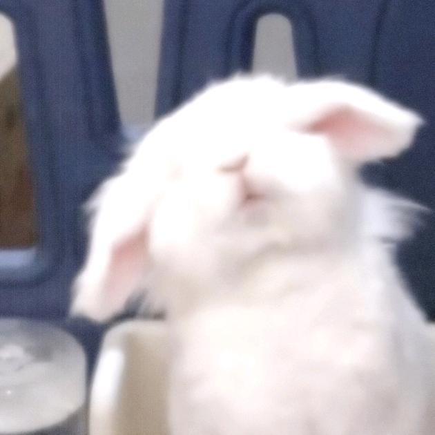 龙神归来商才范钧头像