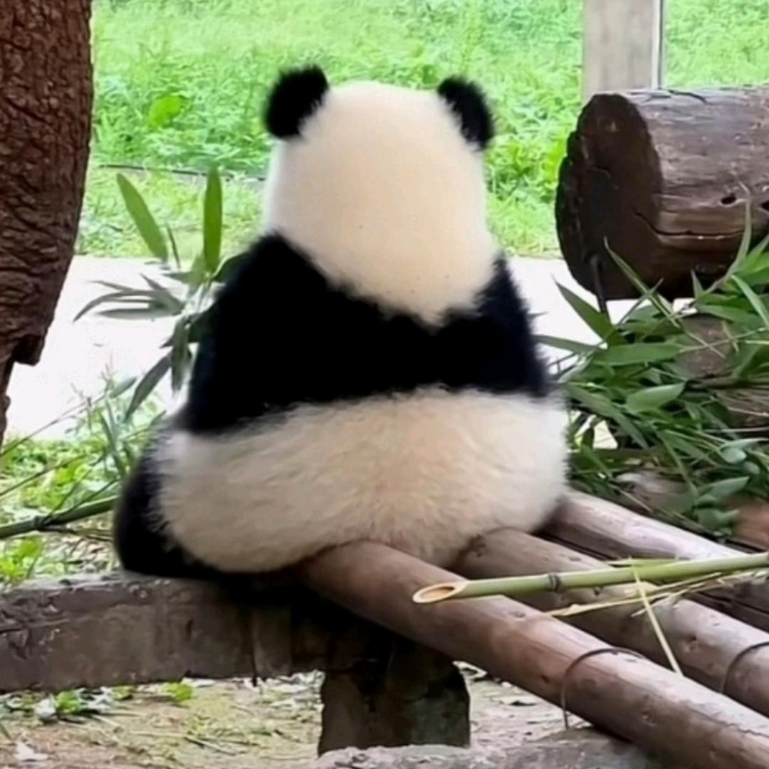 欢喜…