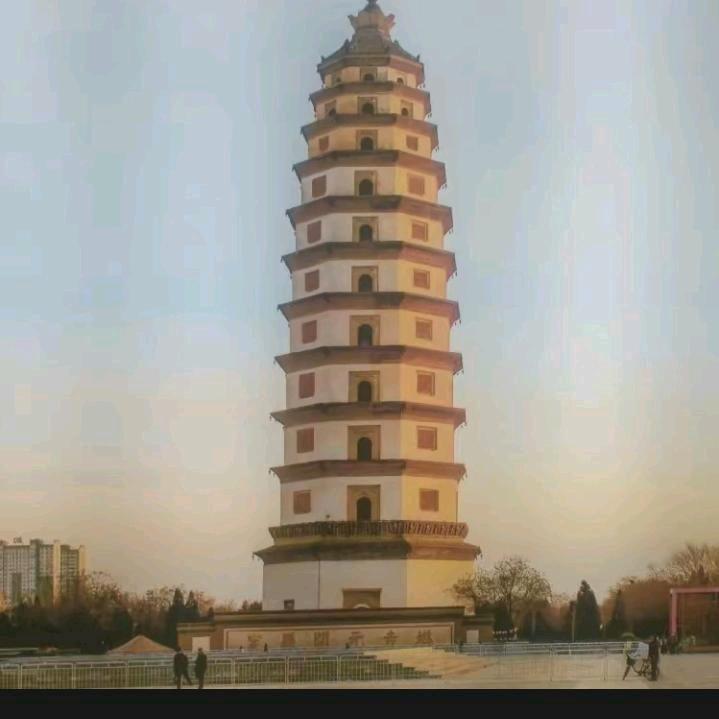 ～依网情深