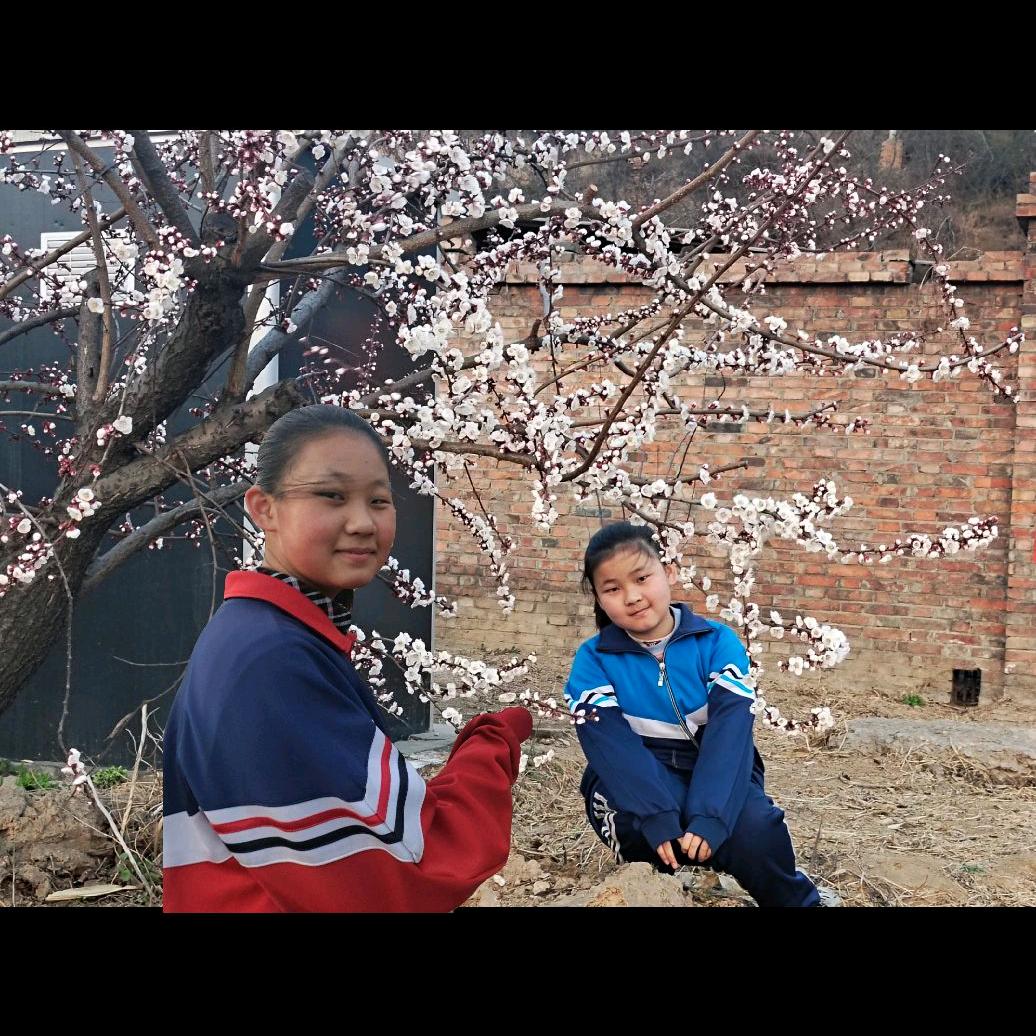 浪沙淘尽苦，青松挺向甘！