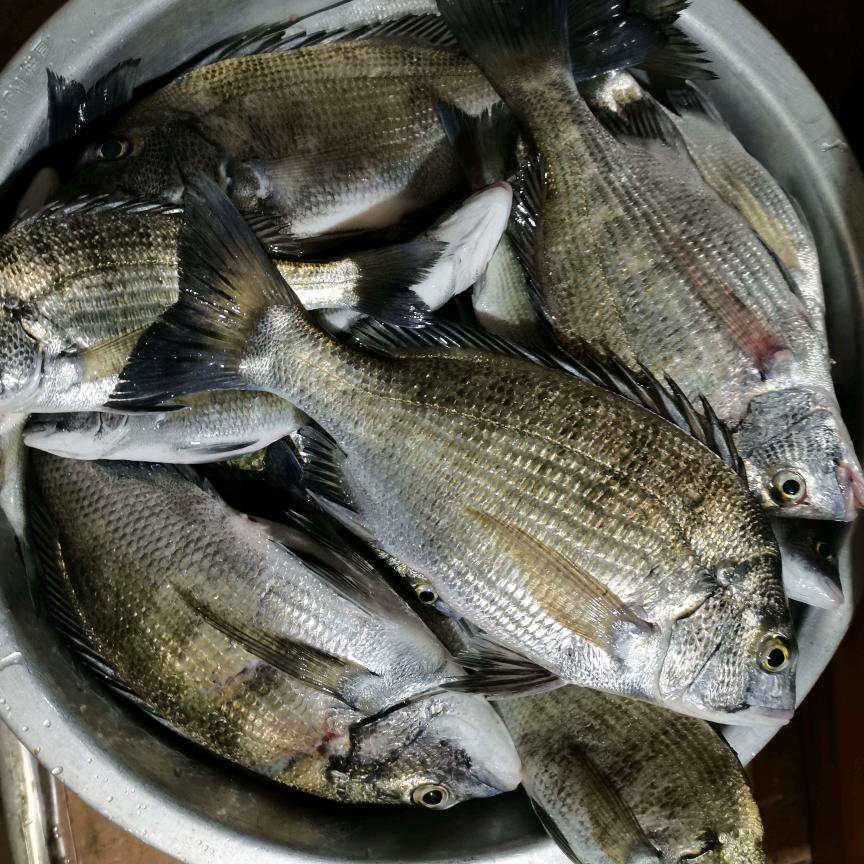 钓鱼🐟🐟🐟佬  清