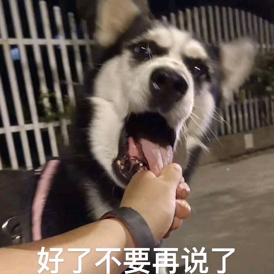 一只大白～TvT～