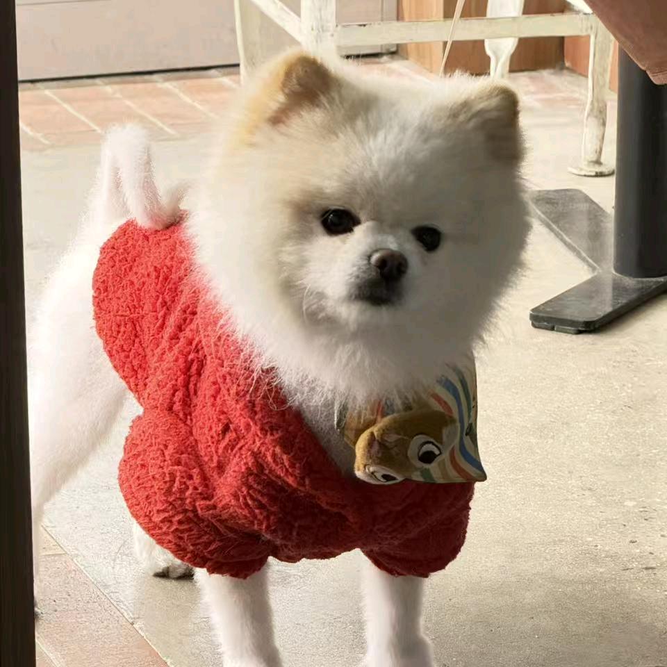 丛林小妖