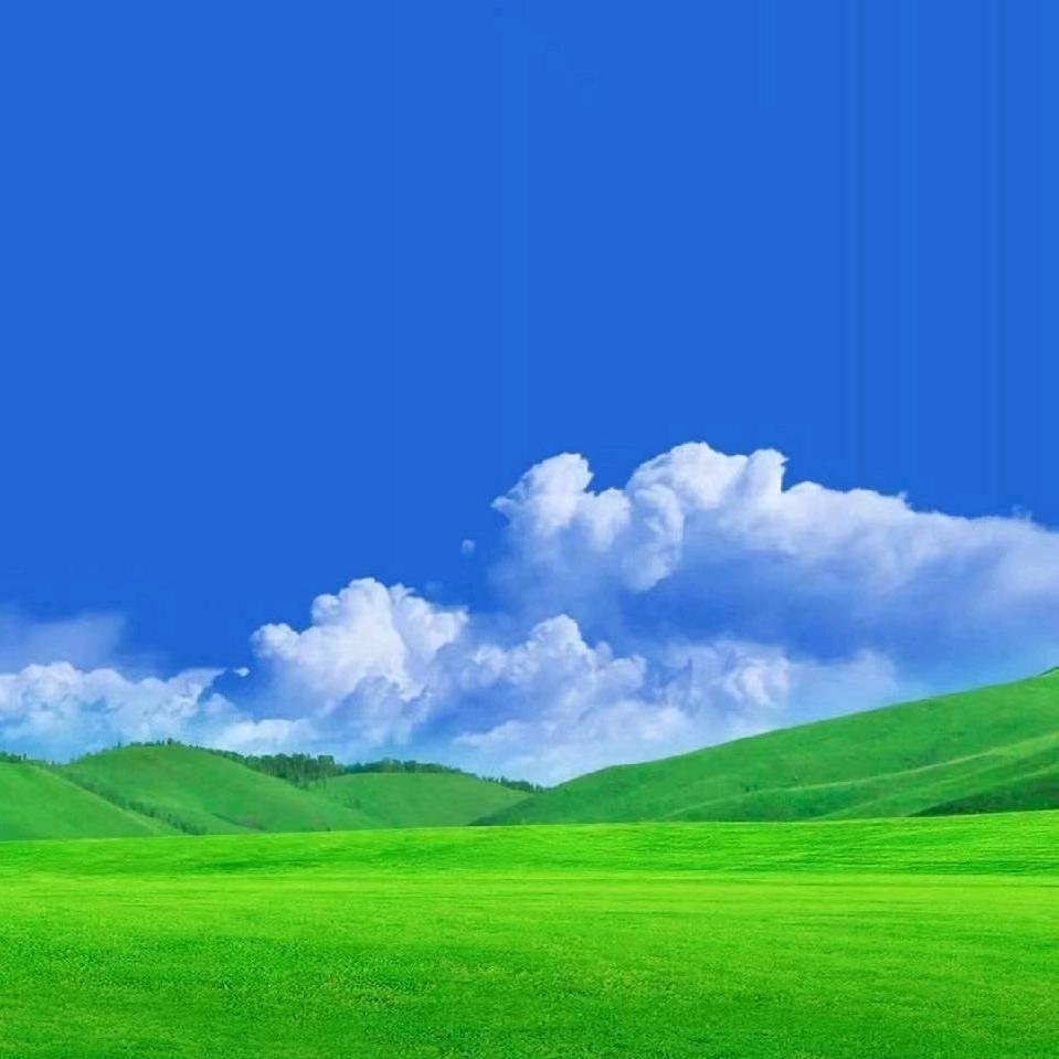 单身小马哥🌹🔥💦