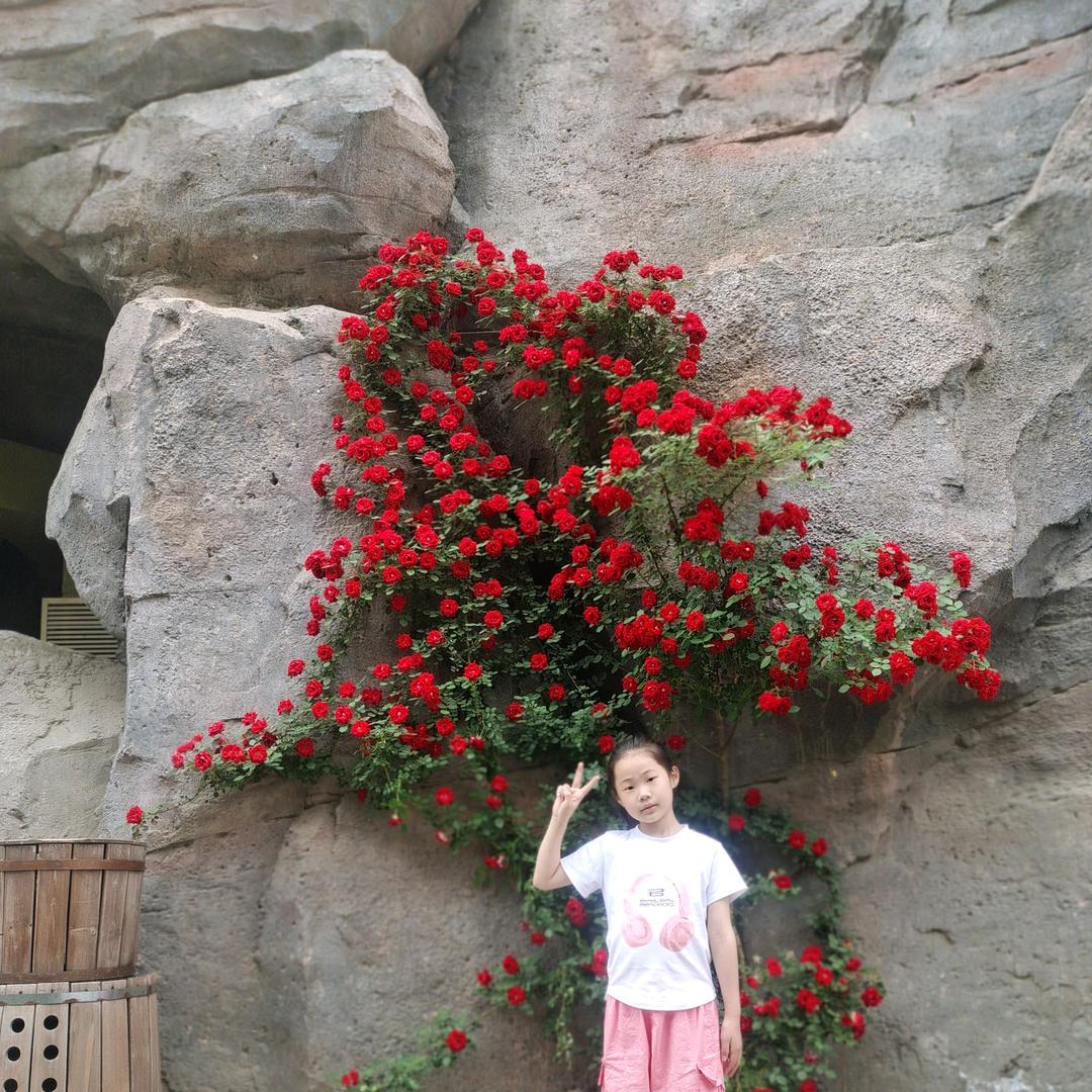 芳姐有氧运动健身