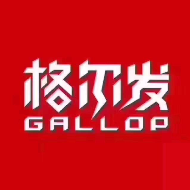 蚌埠润时江淮格尔发
