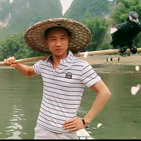 毛蛋