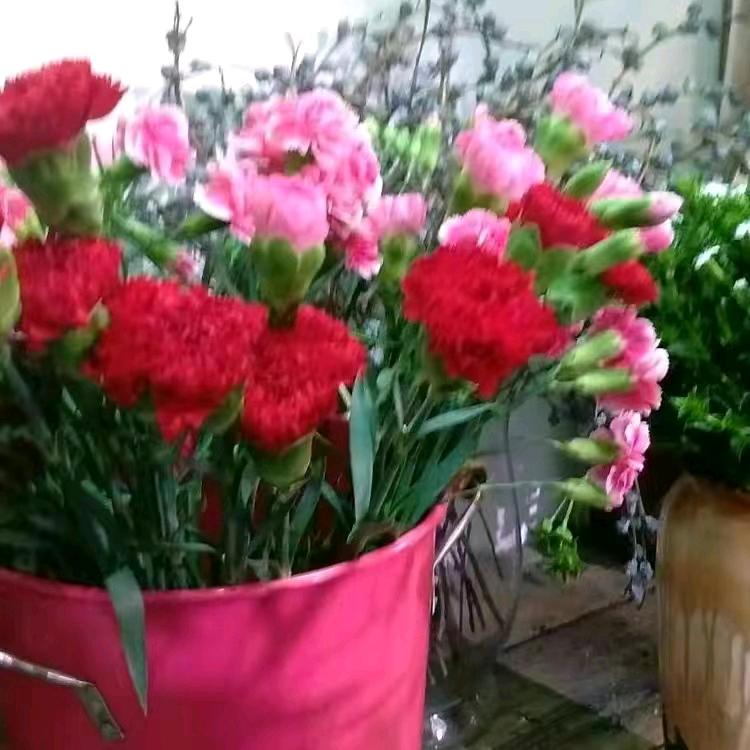 @ღ᭄💞时光ོএ静好ღ᭄ 💞