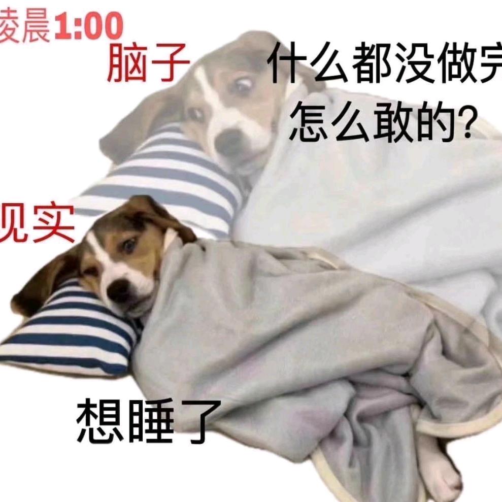 少东家(王者荣耀五杀版）