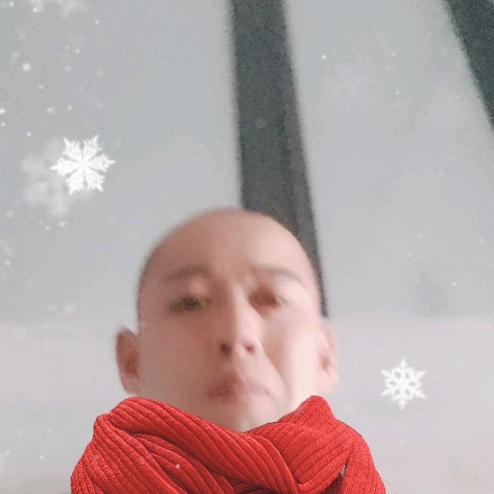 东北孤狼