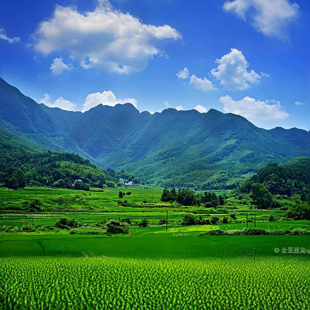 面相风水谢师傅