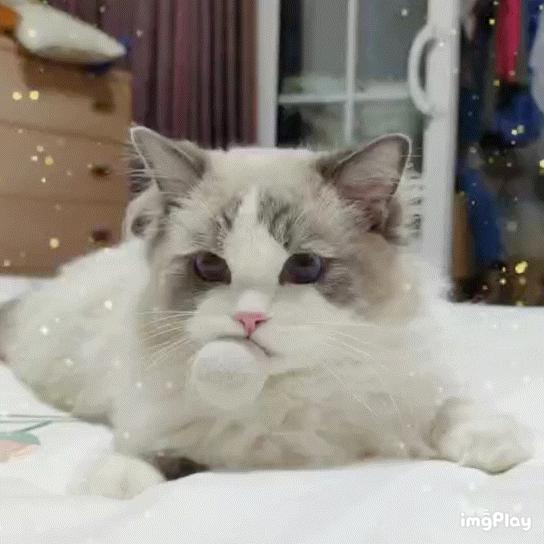 牛枣村铁娃子