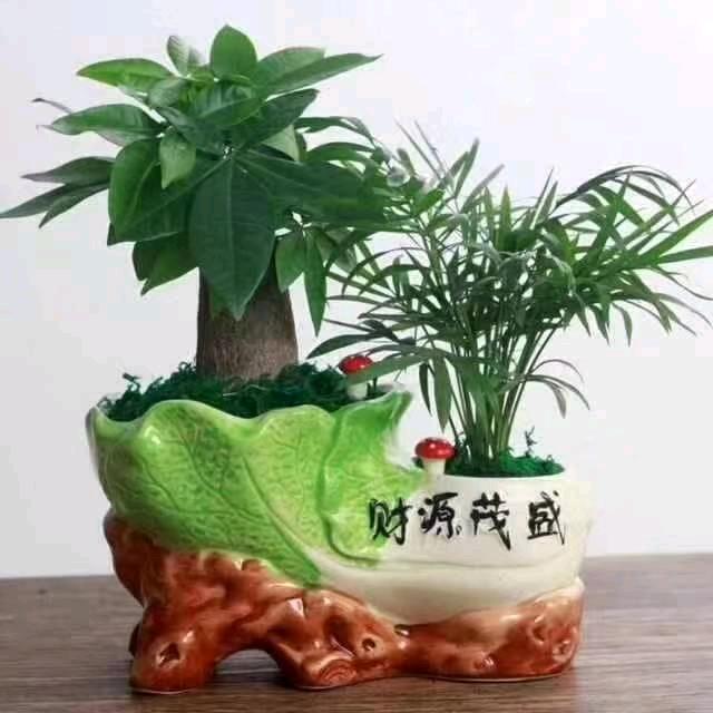 暴龙