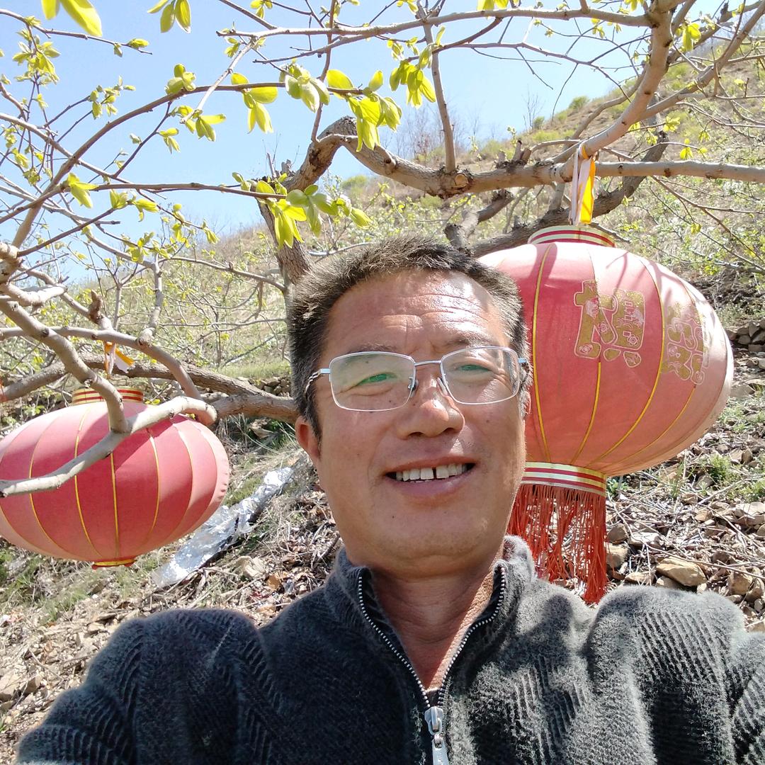 阳光明媚那片绿