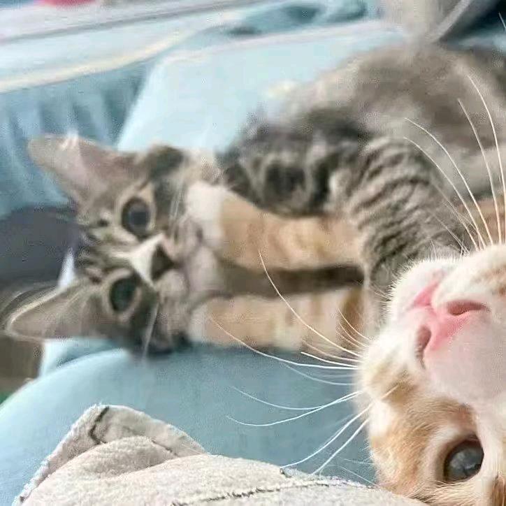 爱脱鞋的城都地铁