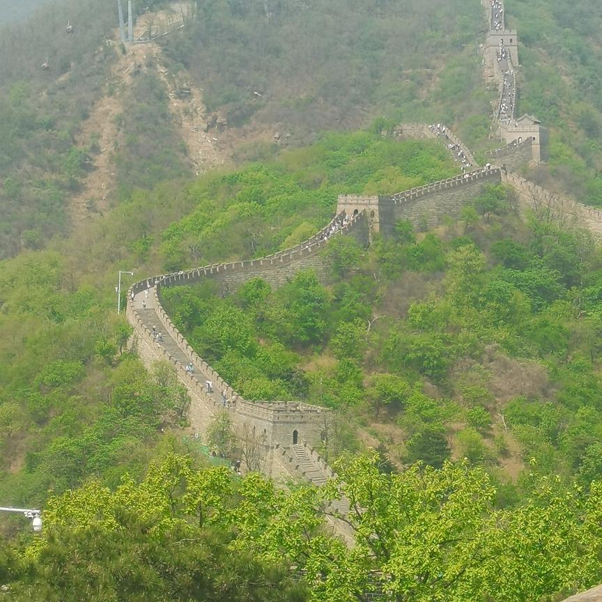 佳哥地摊小火锅官方号