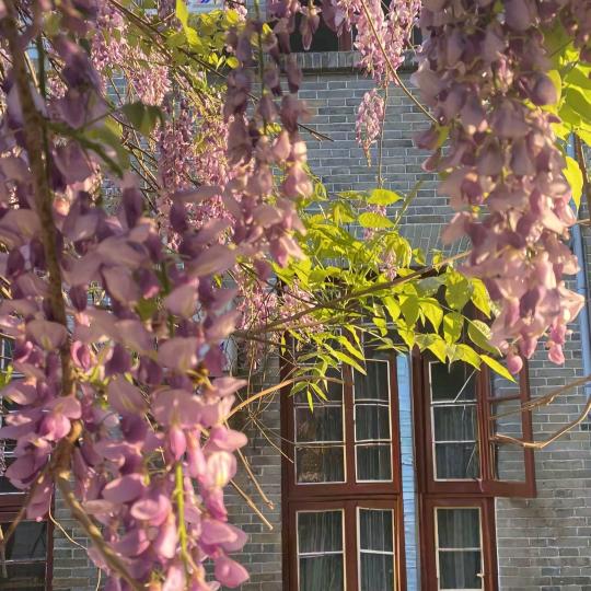 沸思米（推荐好物）