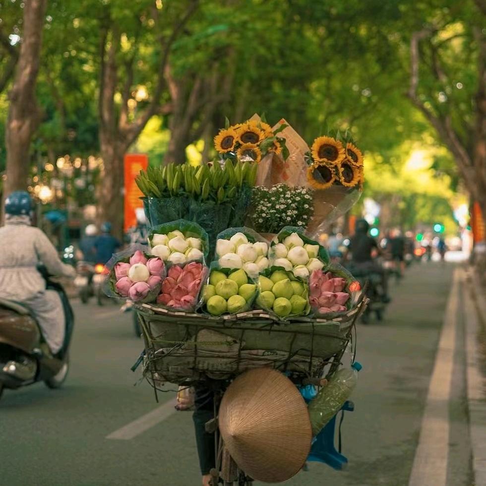 清烟宝烟具旗舰店铺