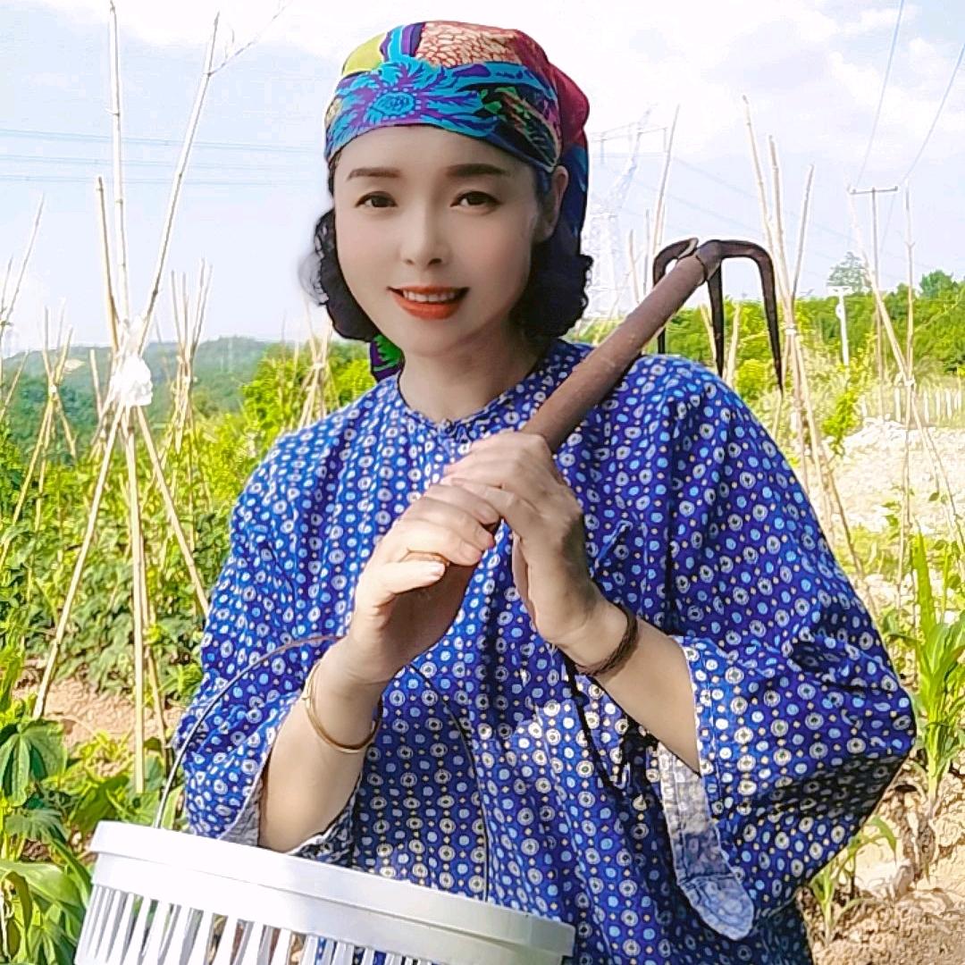 刘家二小姐
