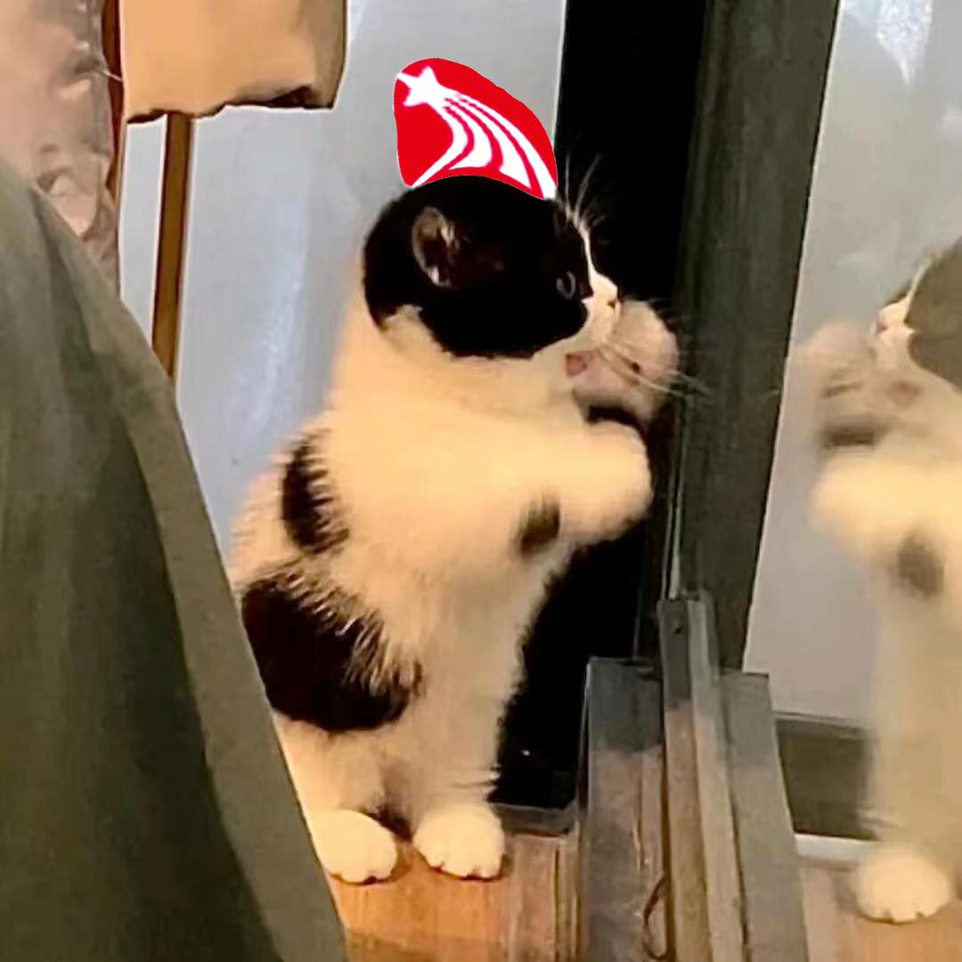 QCQQ