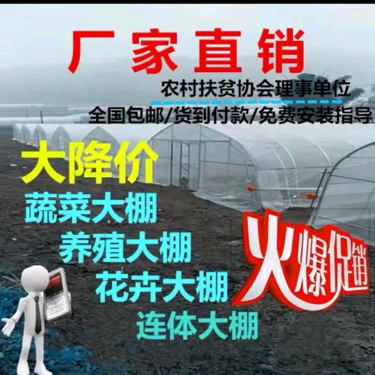 农业温室钢架大棚厂家