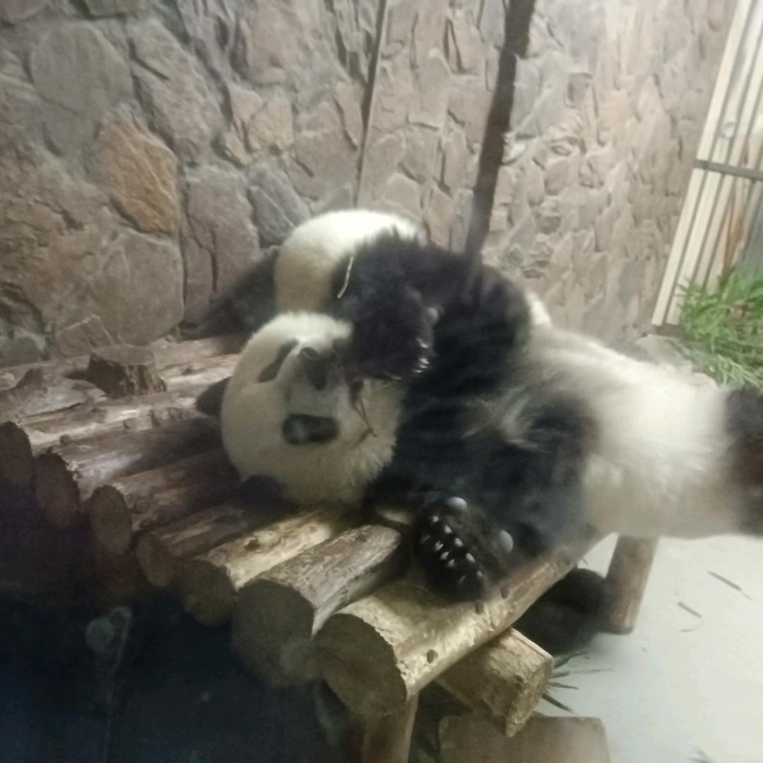 四个朋友吧（丰矿店）