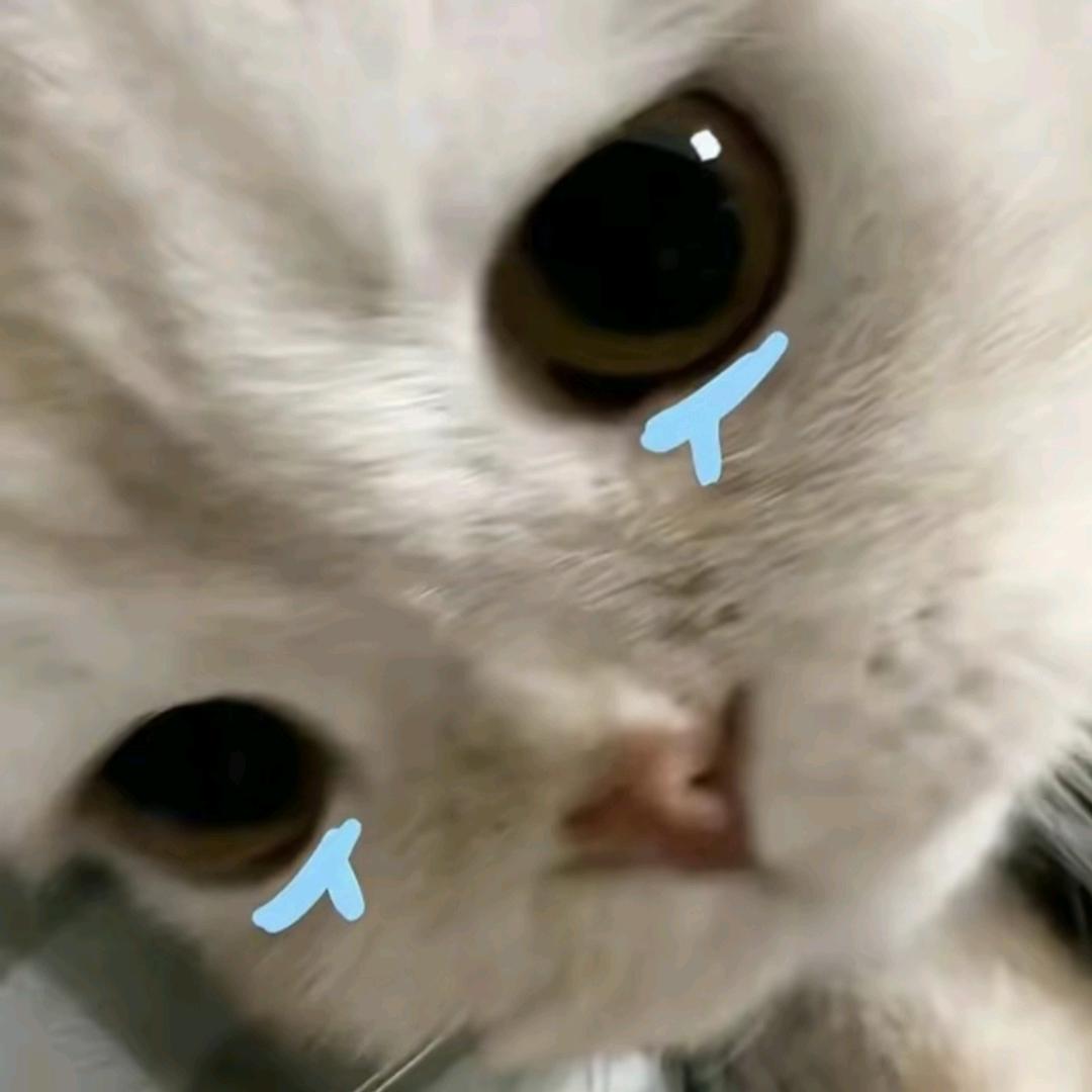 🌈咻咻