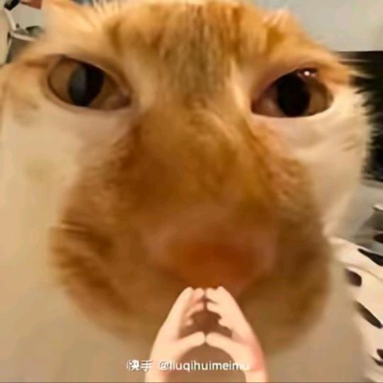 身边唯一两个朋友一个是gay一个是la