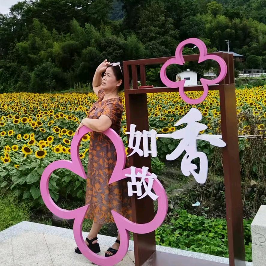 冬阳