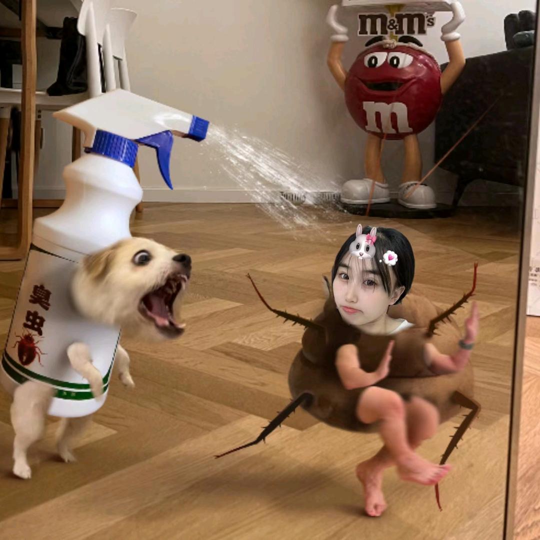 阳阳大笨蛋
