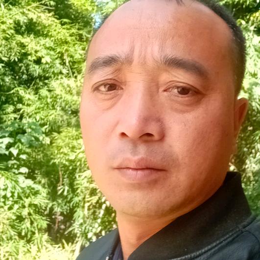 小太杨（停播）