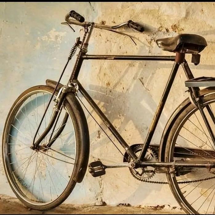 🚲