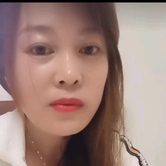 流浪的小野猫