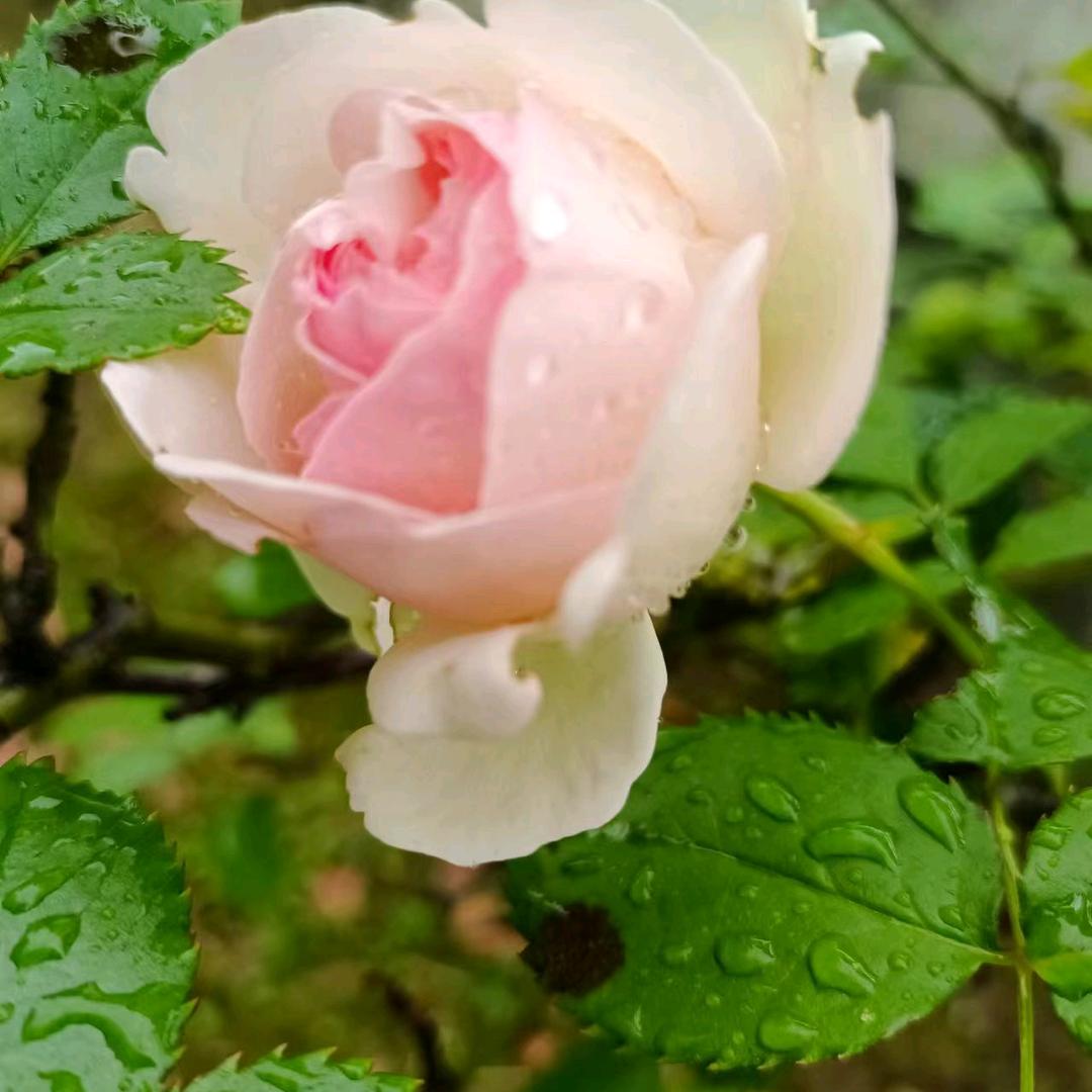 小范♛同学 ♥