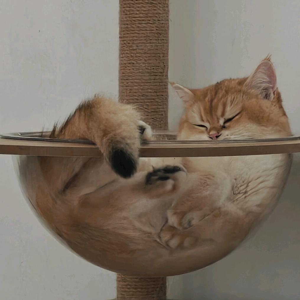 鱼鱼鱼鱻