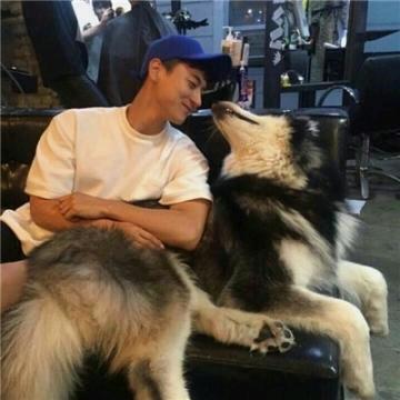炎火火&