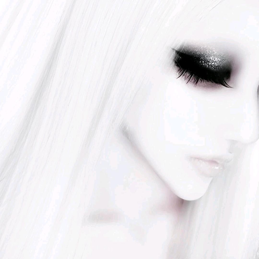 狗狗印