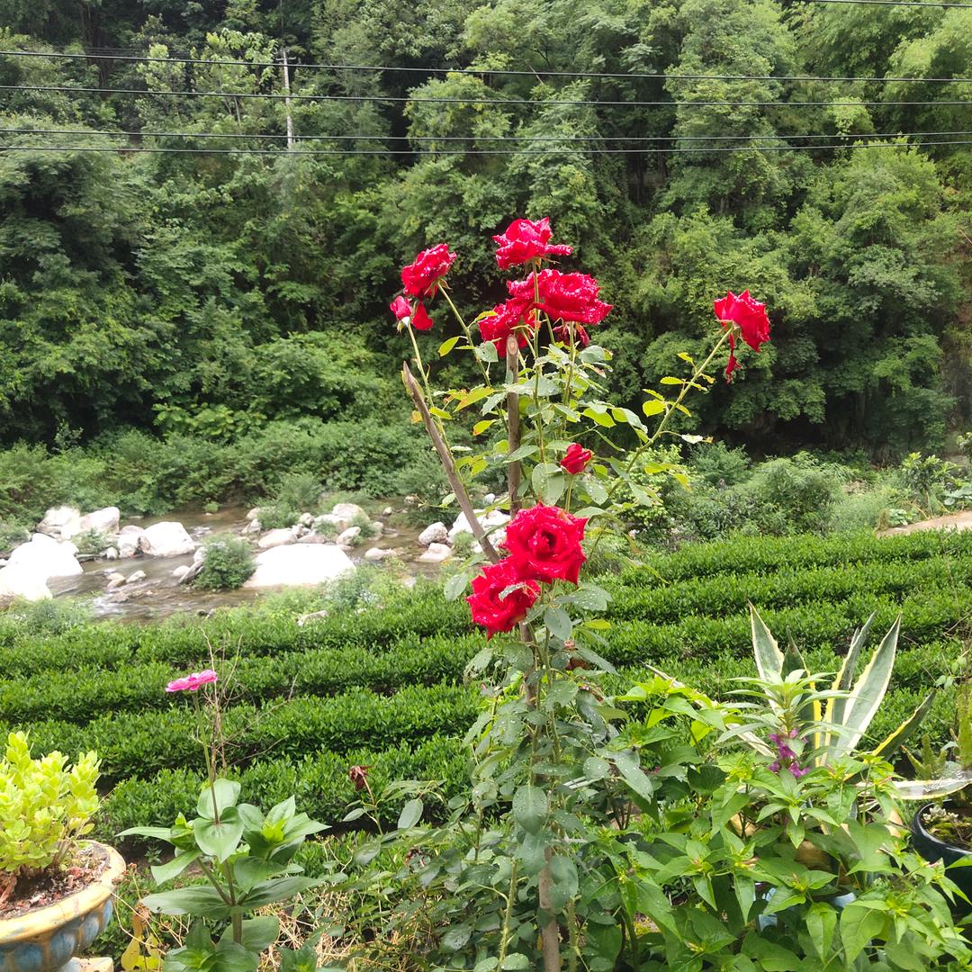 看谁笑到最后？