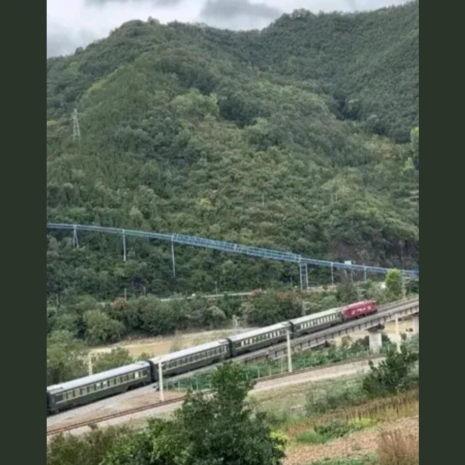 杨家 四妹