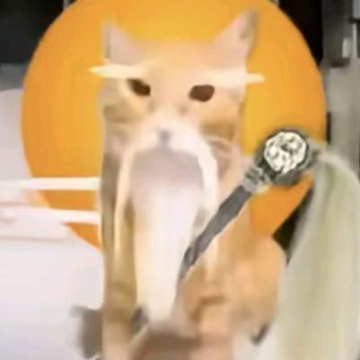 布拉布拉仙人