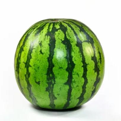 肥鸡🍉